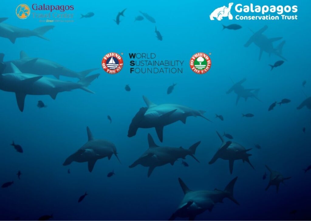 Squali Isole Galapagos