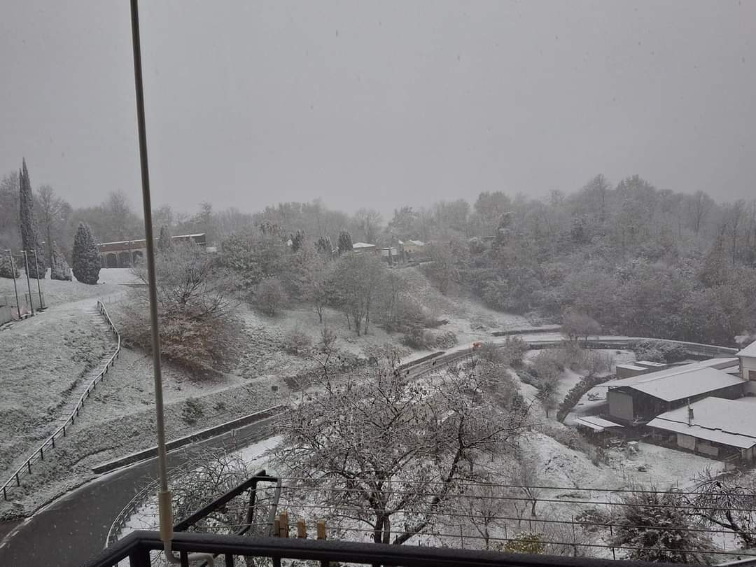 Neve Strona