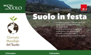 Suolo in Festa