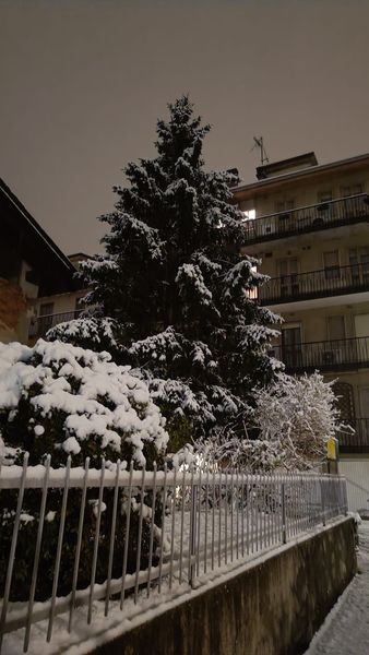 Torino