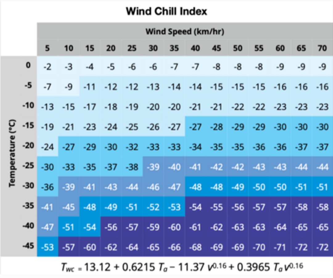 Wind chill index