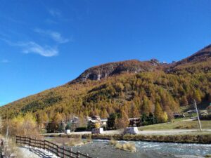 alpi 2 novembre 2024