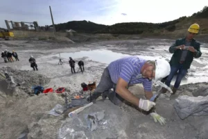 ecosistema fossile valtellina