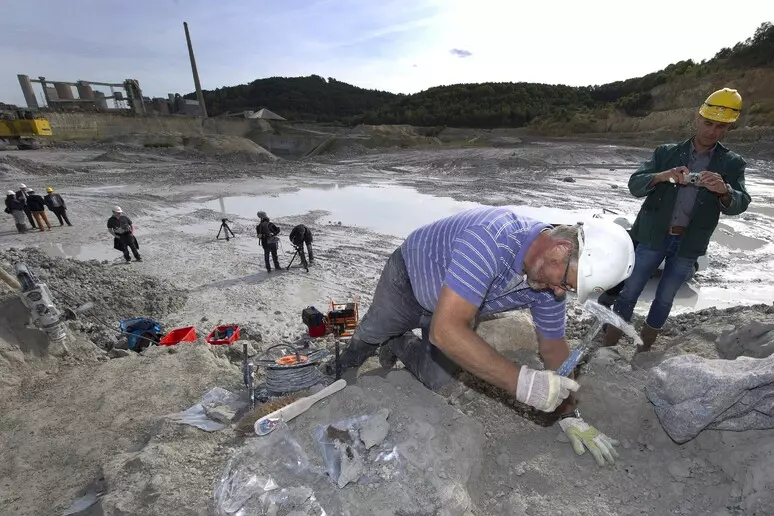 ecosistema fossile valtellina