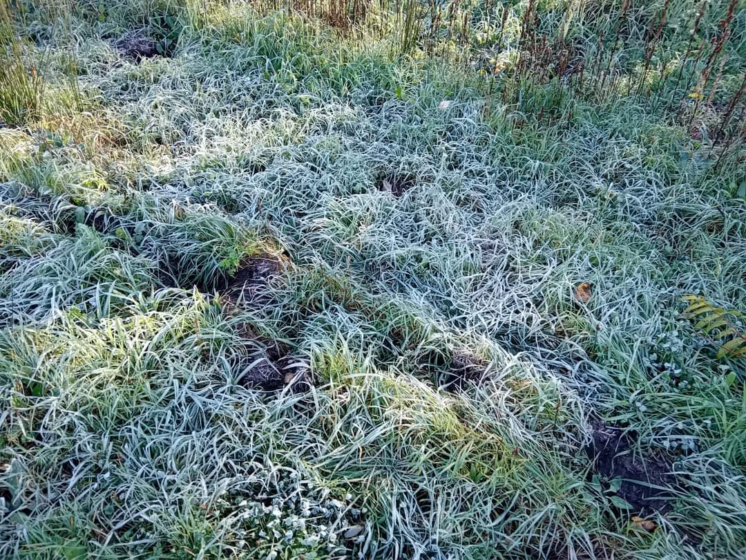 Meteo Sicilia, prima gelata della stagione a Piazza Armerina