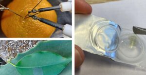 microelettronica