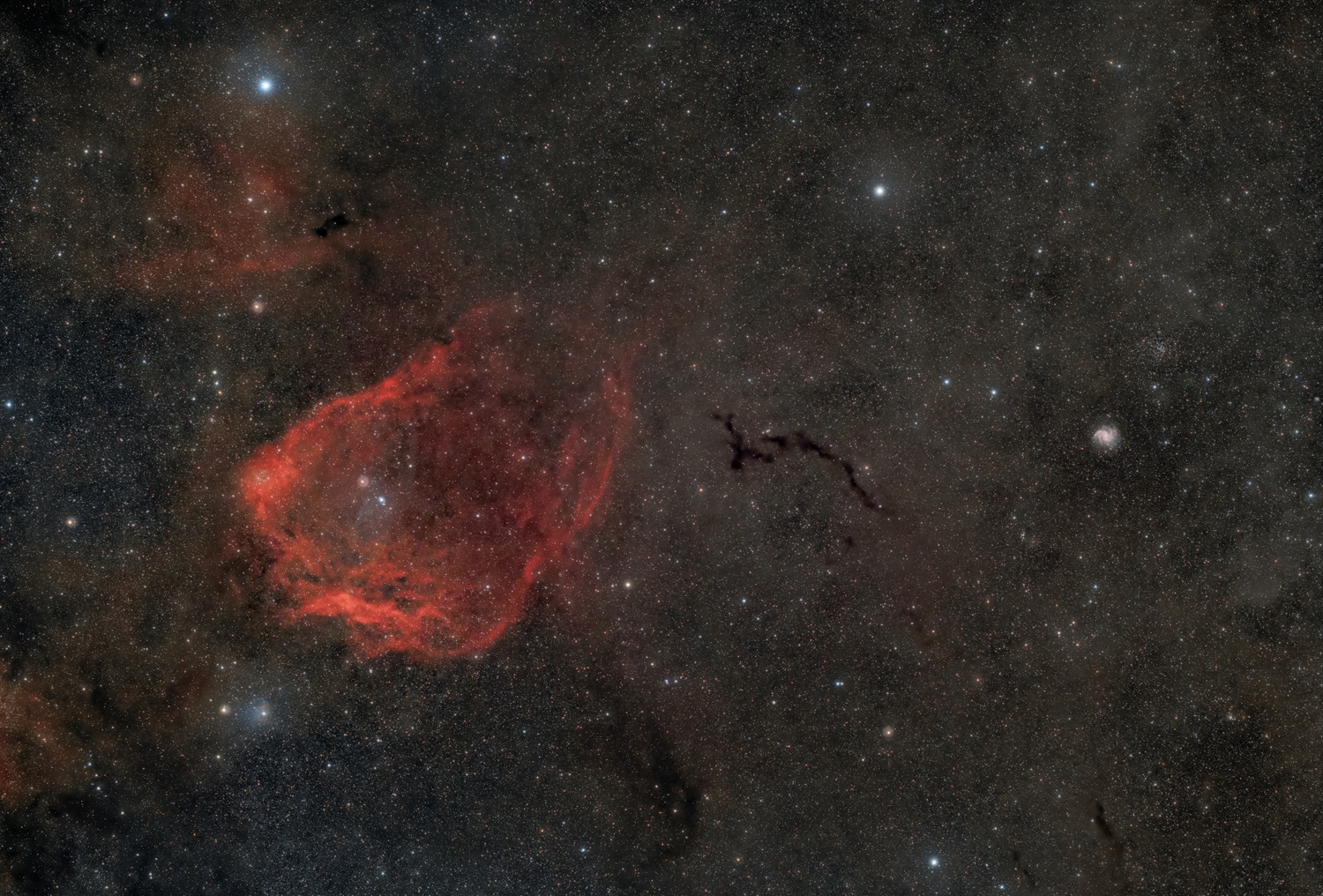 nebulosa calamaro