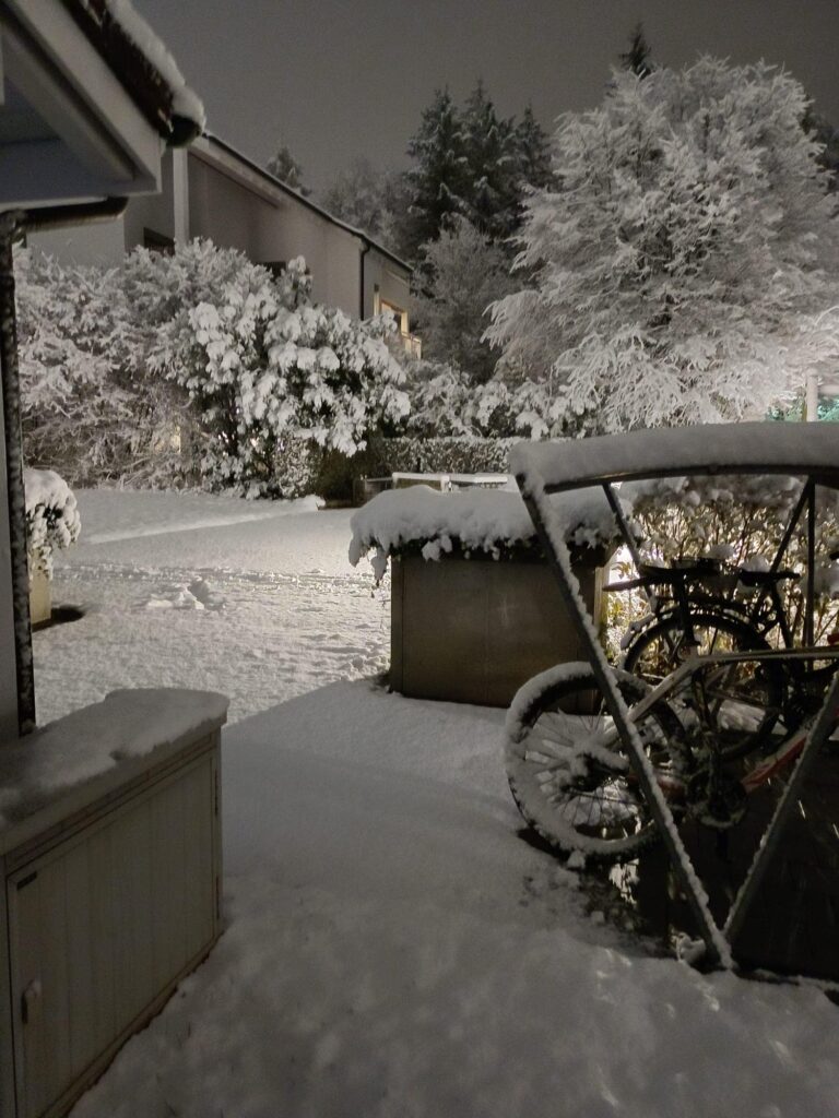 neve basilea svizzera