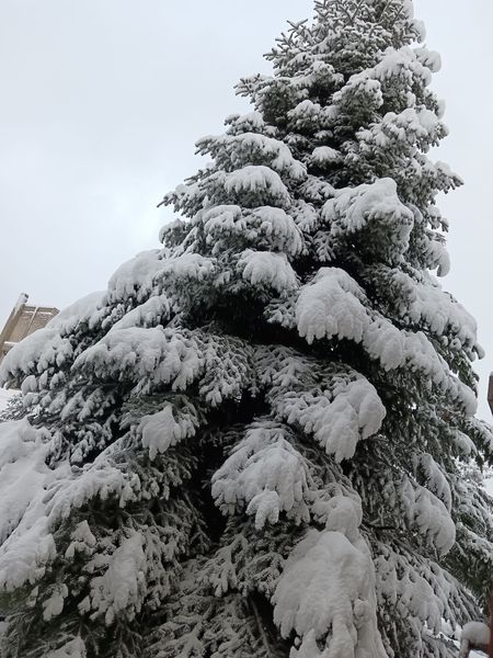 neve campo di giove abruzzo