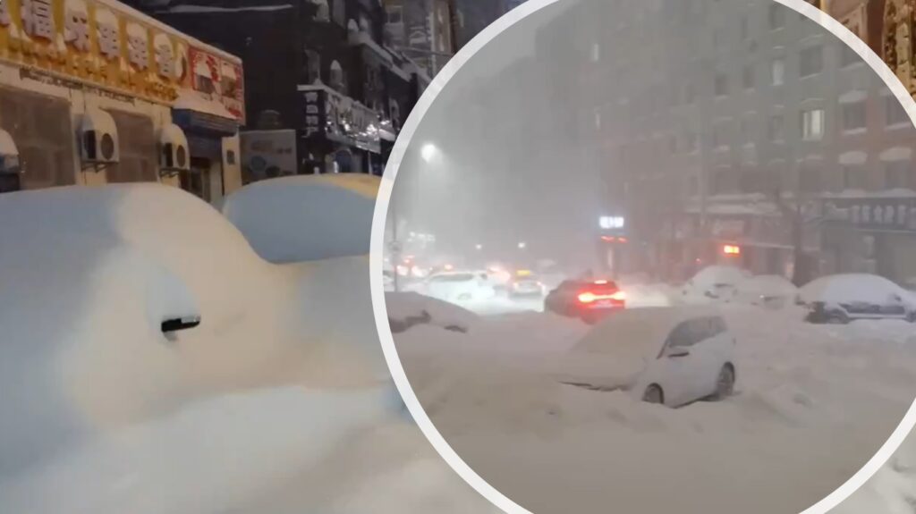 neve cina