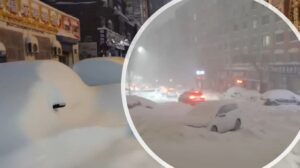 neve cina