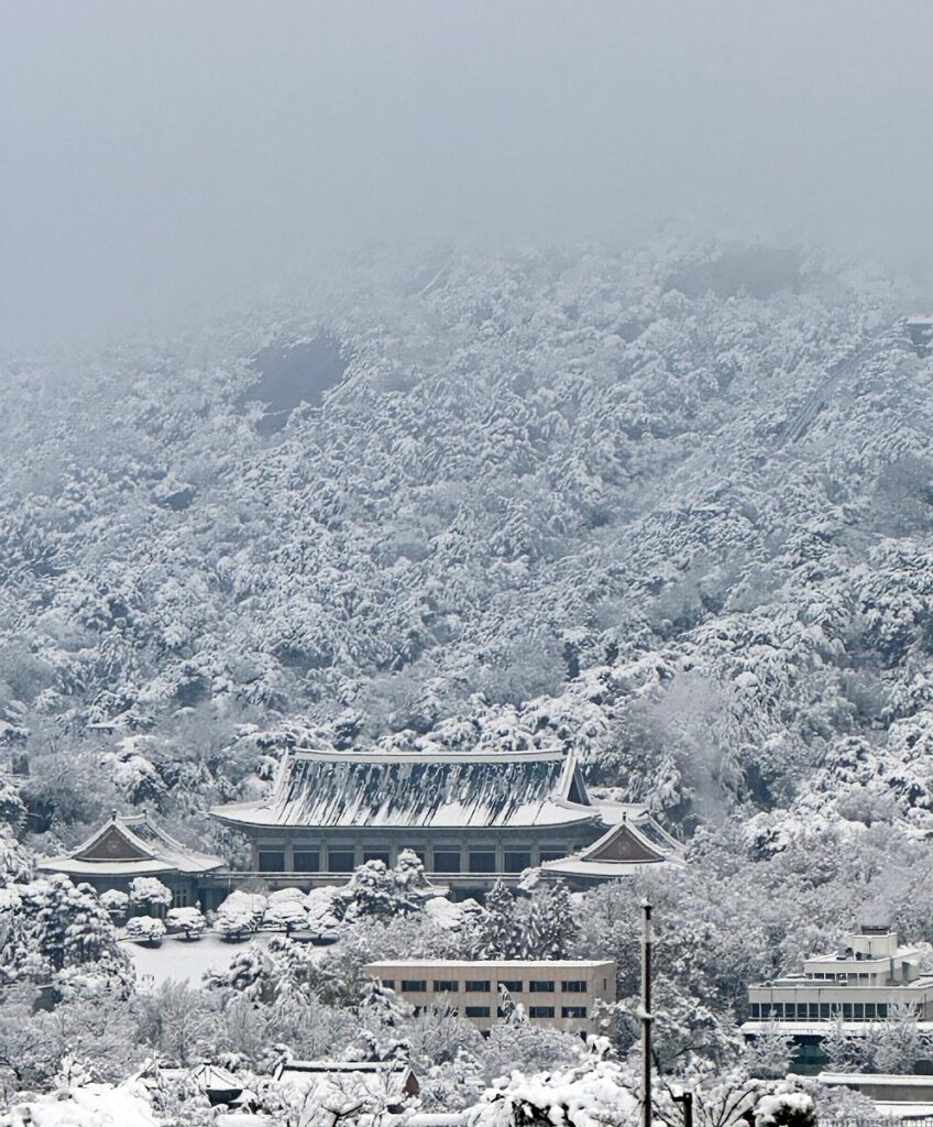 neve corea sud seul