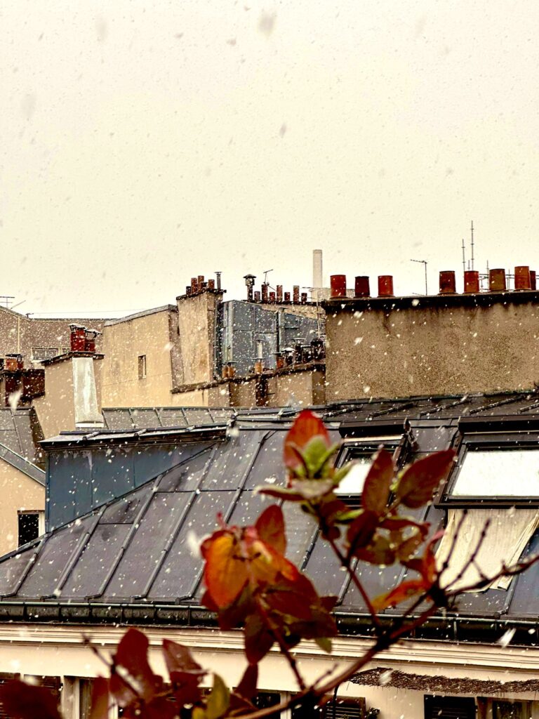 neve oggi parigi francia