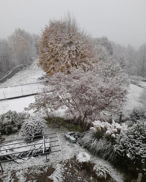 neve piemonte