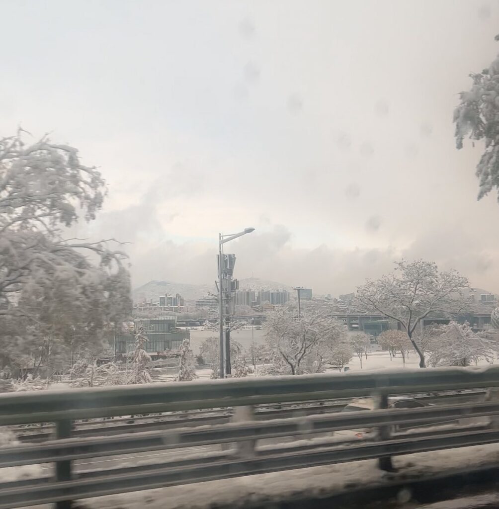neve seul