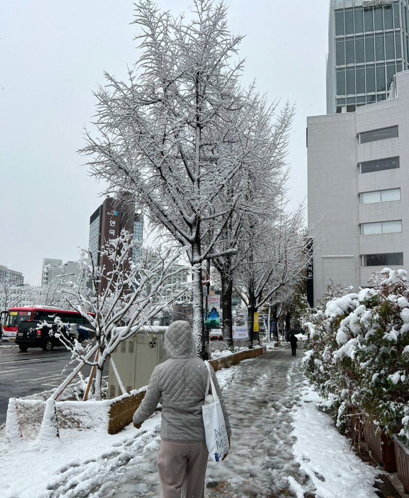 neve seul