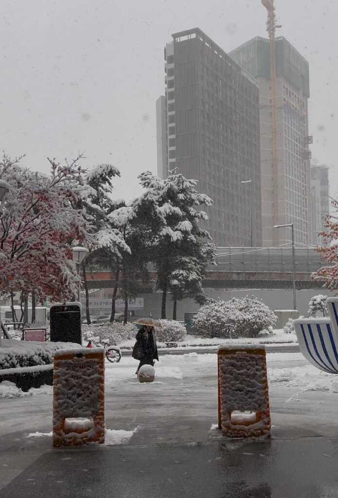 neve seul