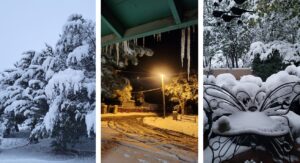 neve tempesta new mexico (66)