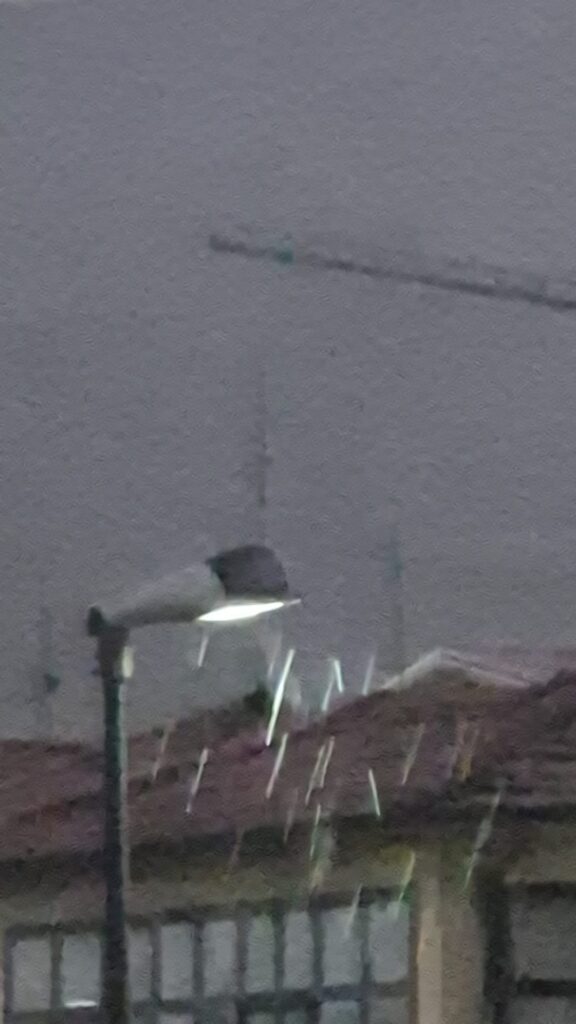neve tonda avezzano