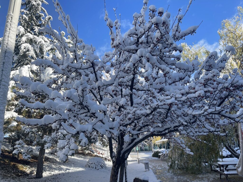 neve turchia