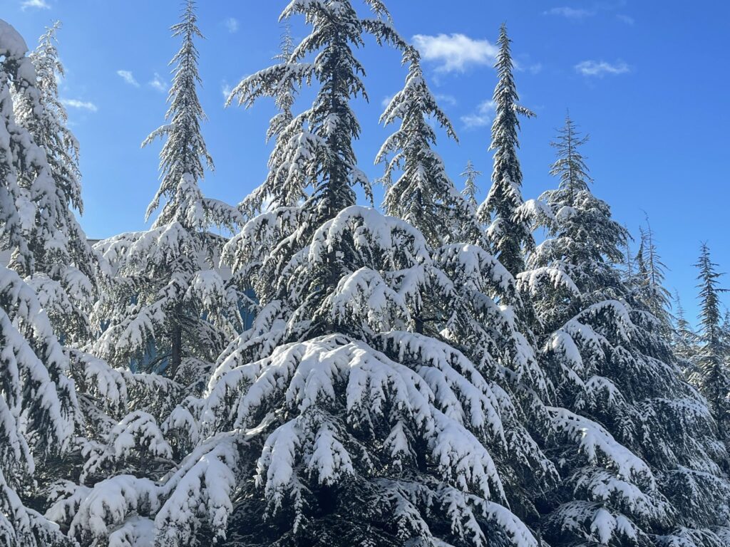 neve turchia