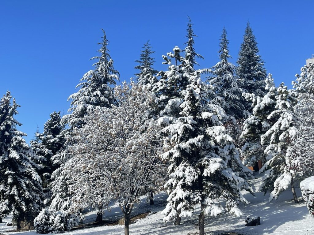 neve turchia