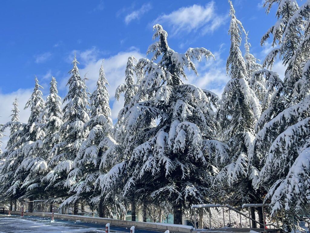 neve turchia