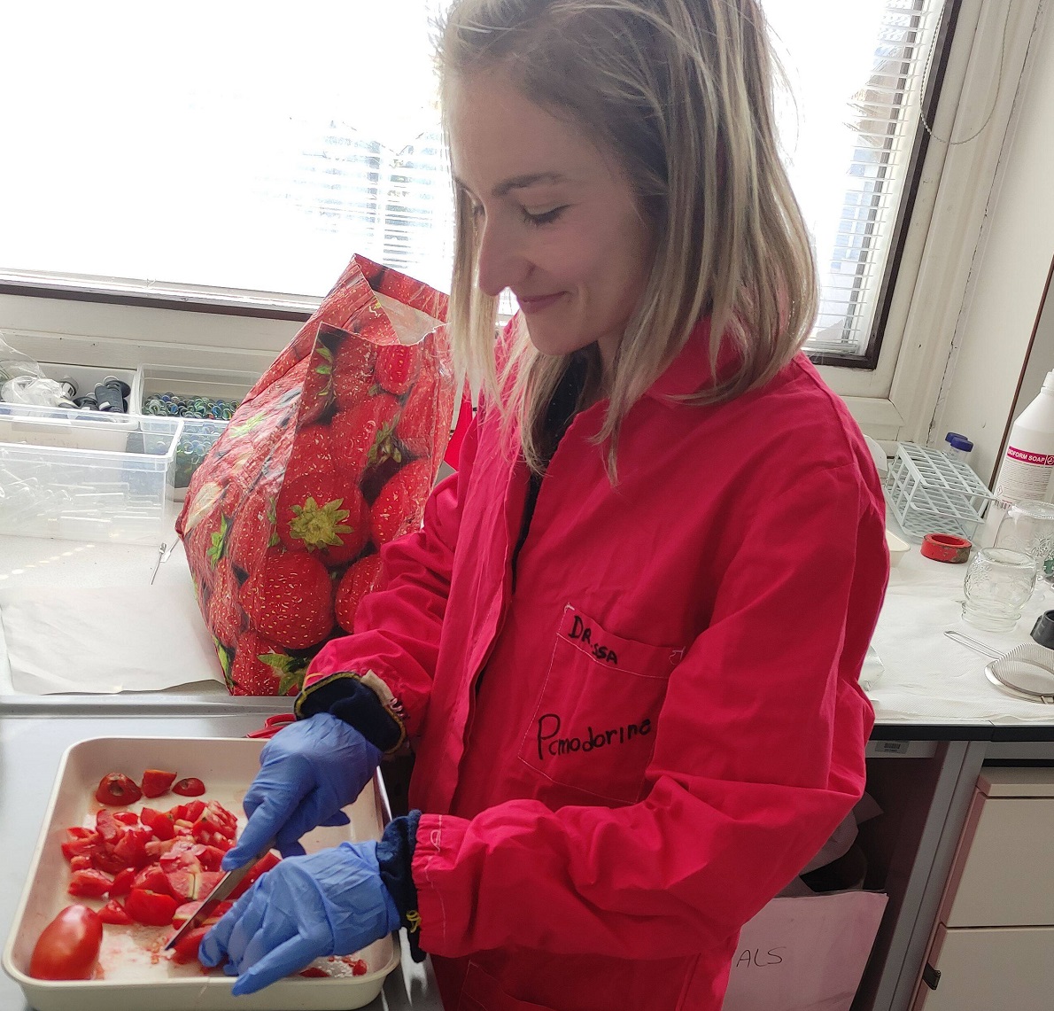 Ecco come i pomodori possono influenzare il benessere del cervello