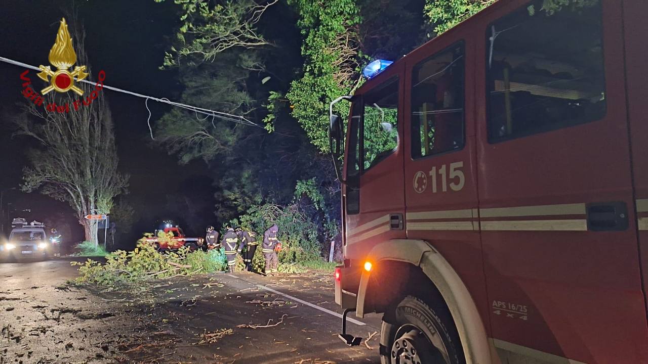Maltempo Calabria, 245 interventi dei Vigili del Fuoco per il forte vento | FOTO