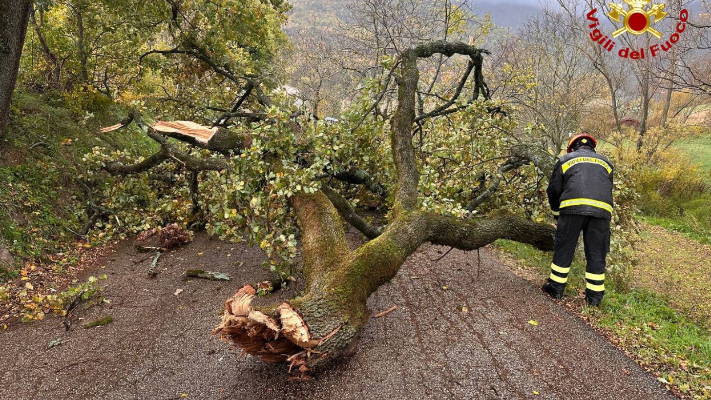 Maltempo, vento forte nel Napoletano: raffiche di 100 km/h, alberi crollati e danni