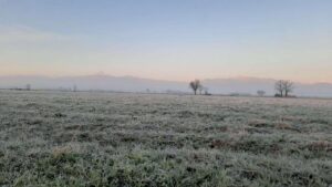 gelo 1 dicembre piemonte brina galaverna ghiaccio