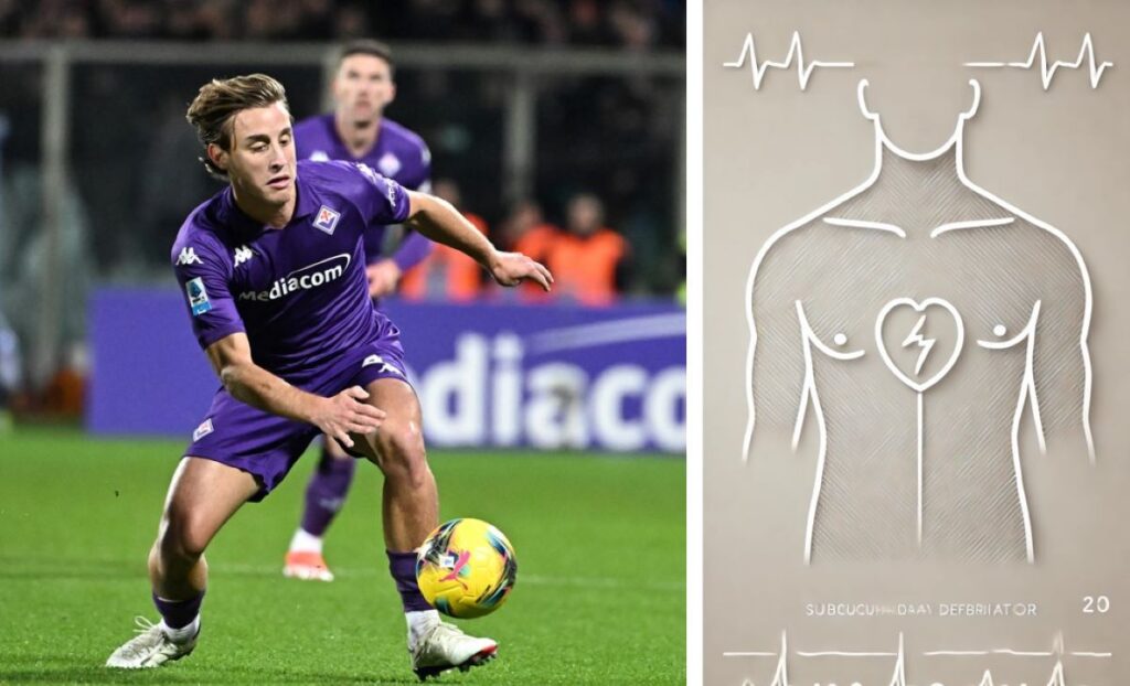 Bove defibrillatore