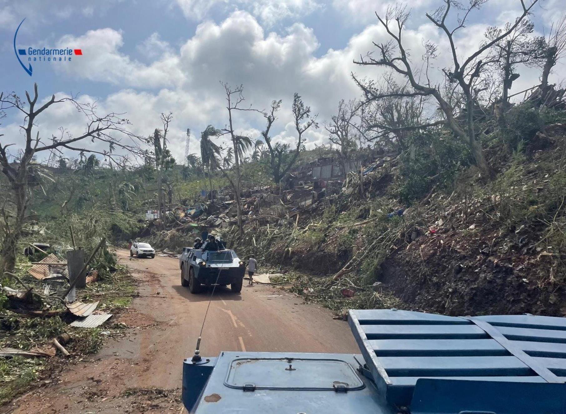 Il ciclone Chido a Mayotte ha devastato anche flora e fauna