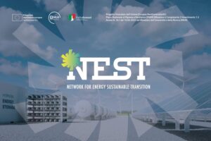 nest