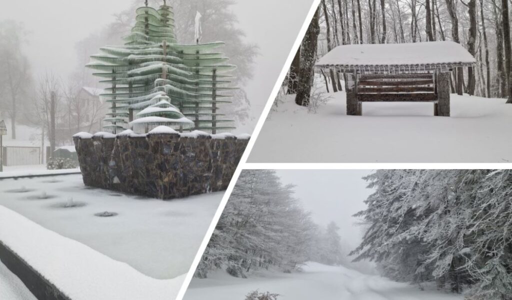 Neve Gambarie Montalto