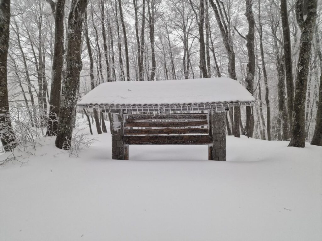 Neve Gambarie Montalto