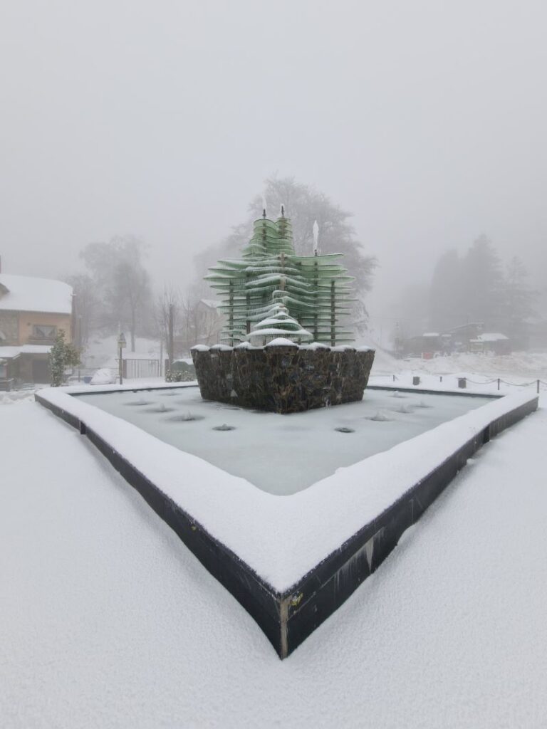 Neve Gambarie Montalto