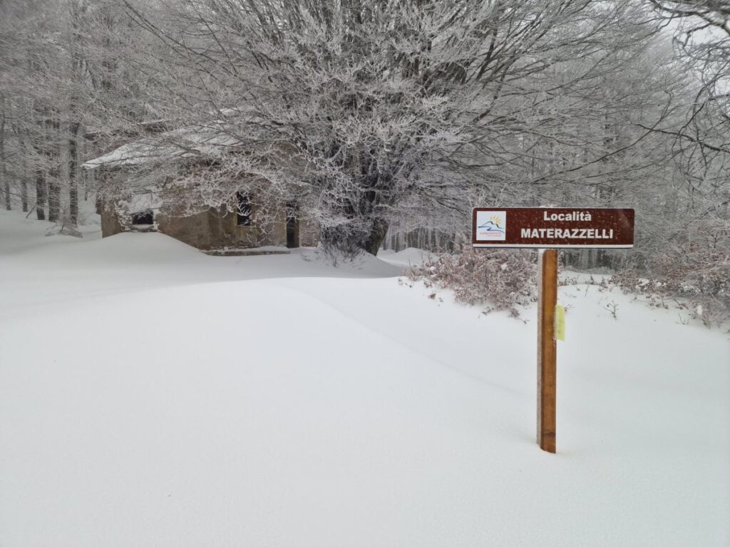 Neve Gambarie Montalto