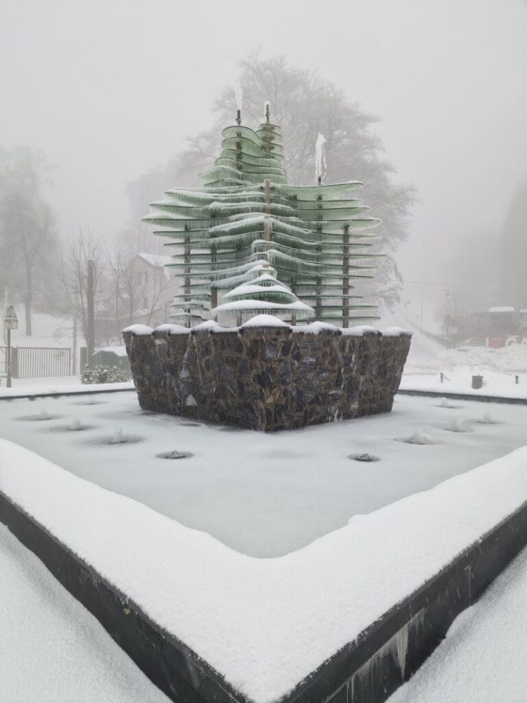 Neve Gambarie Montalto
