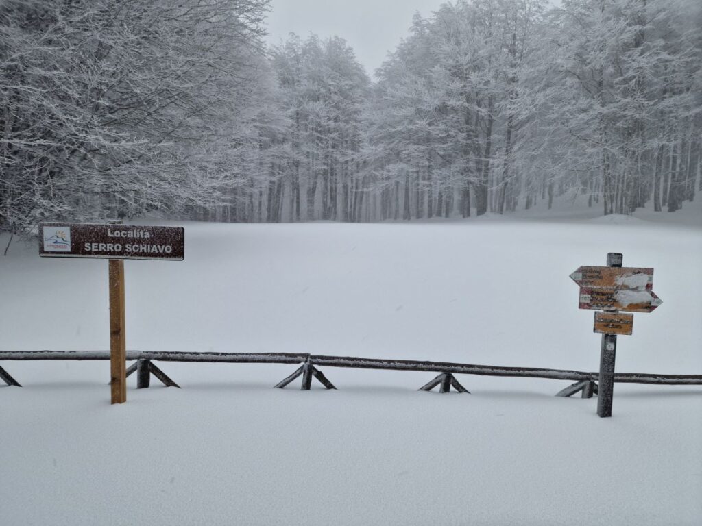 Neve Gambarie Montalto