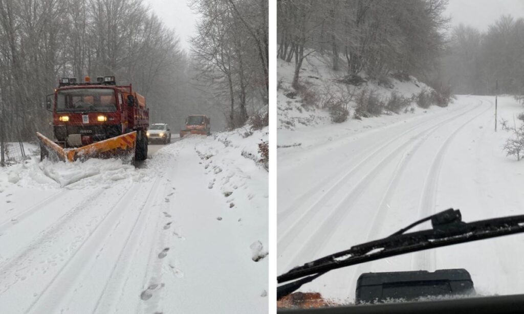 Neve Messina