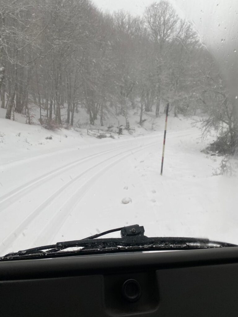 Neve Messina
