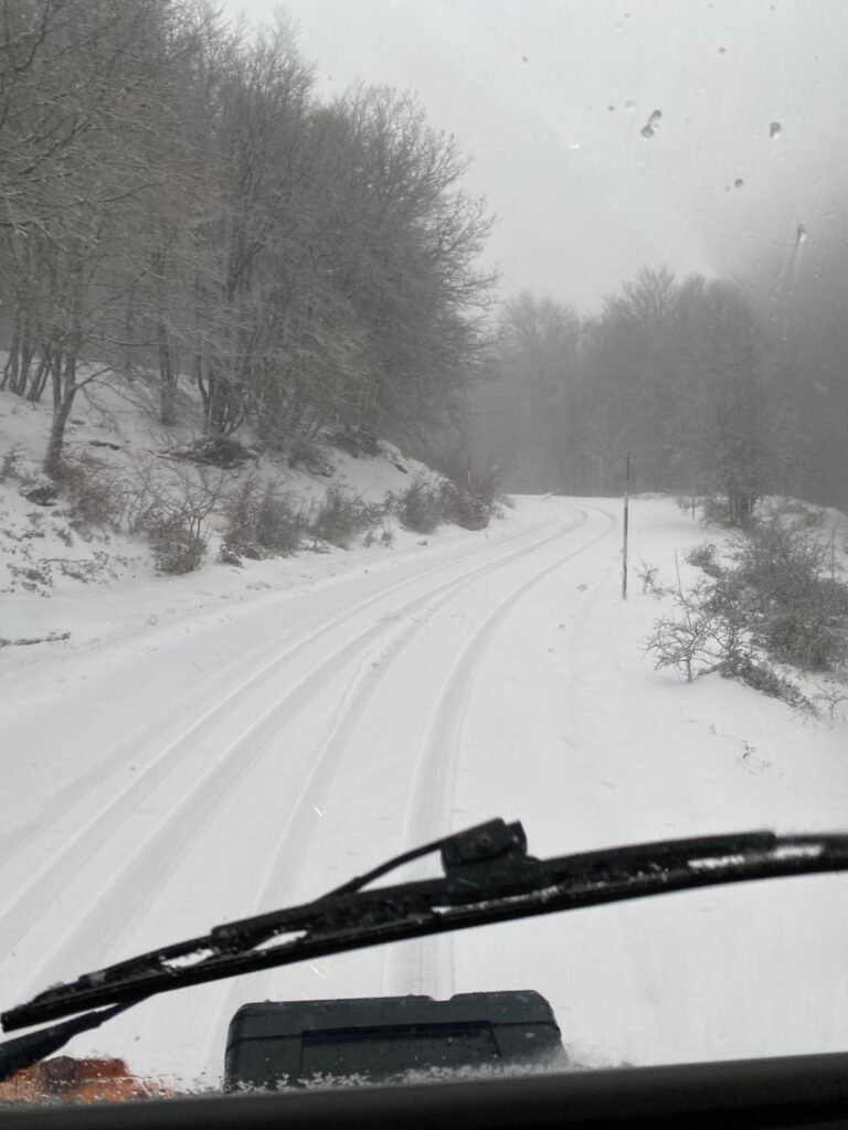 Neve Messina