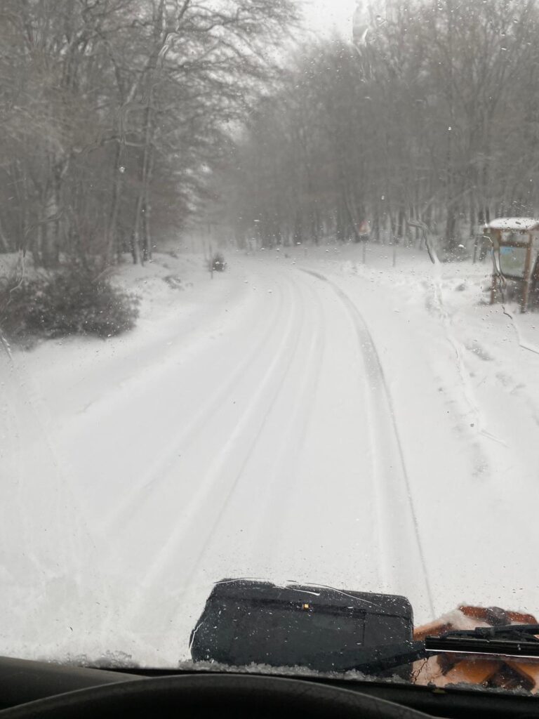 Neve Messina