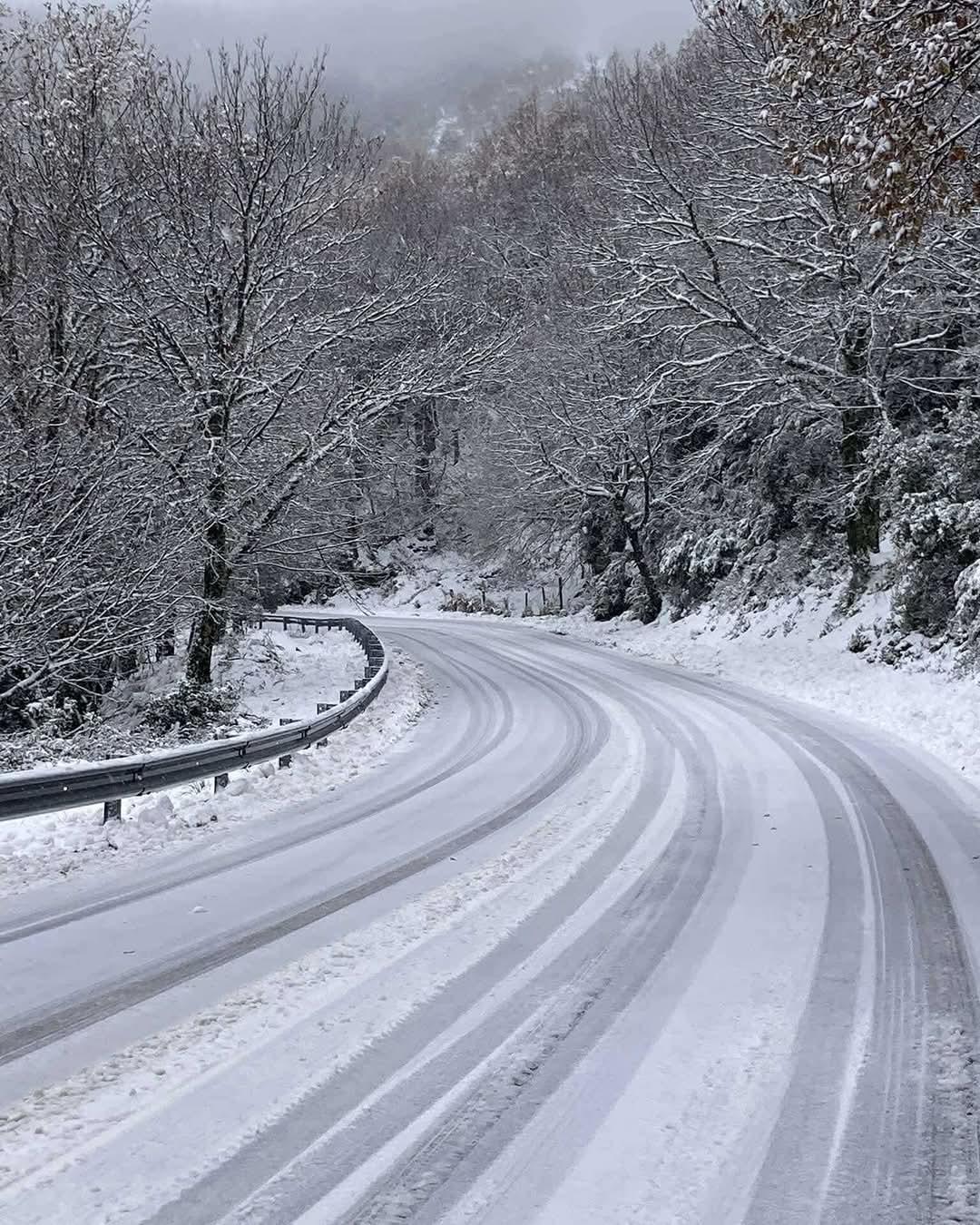 Neve Sardegna