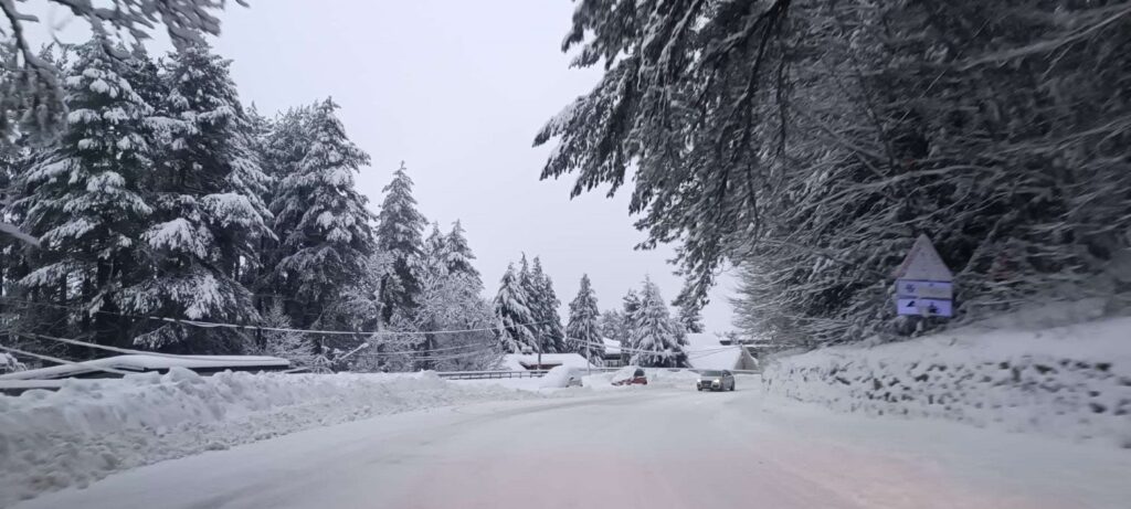 Neve Sila