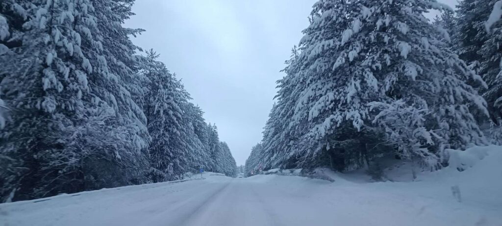 Neve Sila