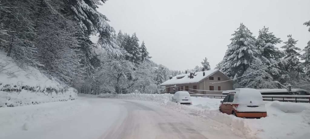 Neve Sila