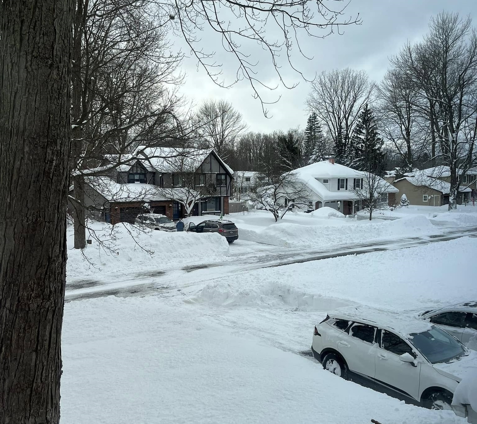 Orchard Park neve