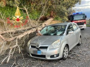 albero auto gizzeria